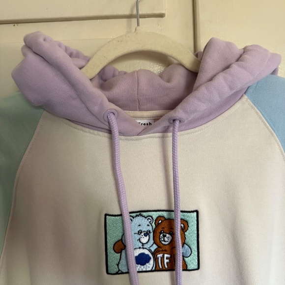 Teddy Fresh x Care Bears Colorblock Hoodie Sweatshirt Size Large - Picture 3 of 8